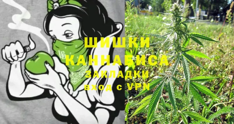 Каннабис THC 21%  купить закладку  Арск 